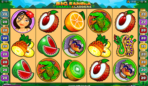 Big Kahuna - Snakes & Ladders